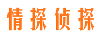 江孜市侦探公司